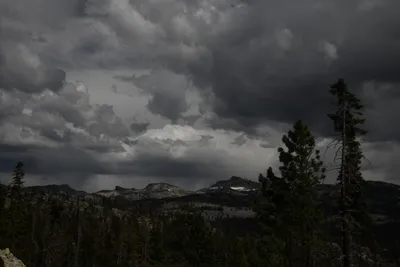 DSC_4366 (Large).JPG